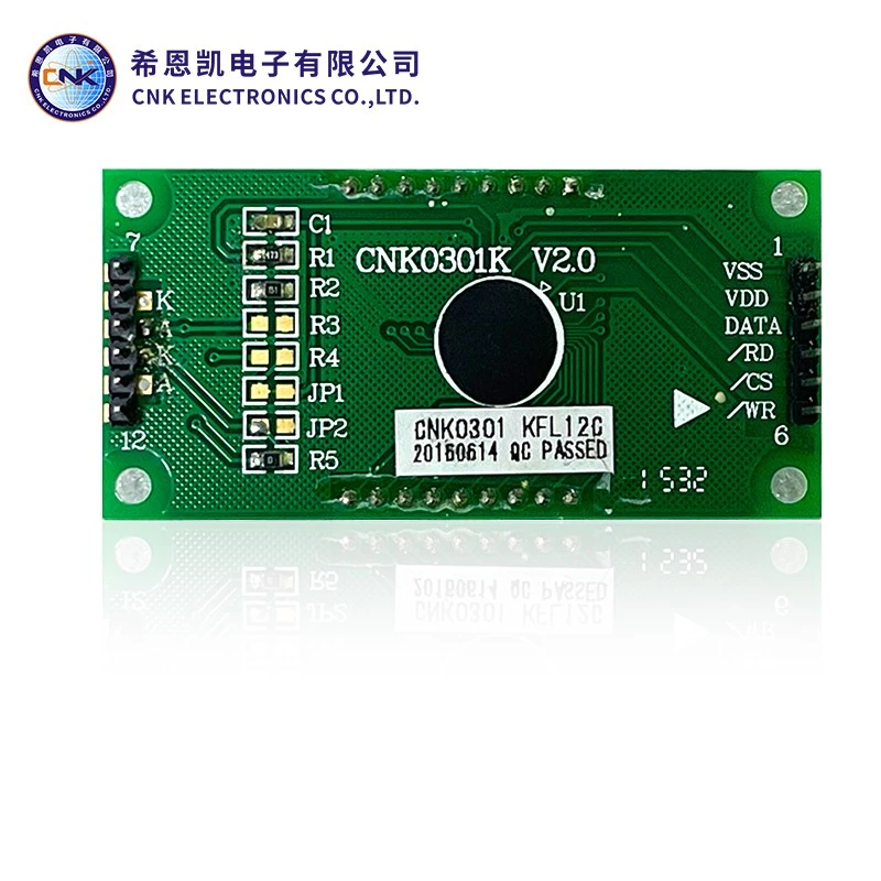 FSTN motako segmentua LCD pantaila